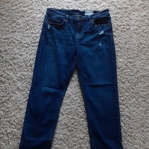 Cosmic Blue Love Lightly Distressed Jeans Size 31